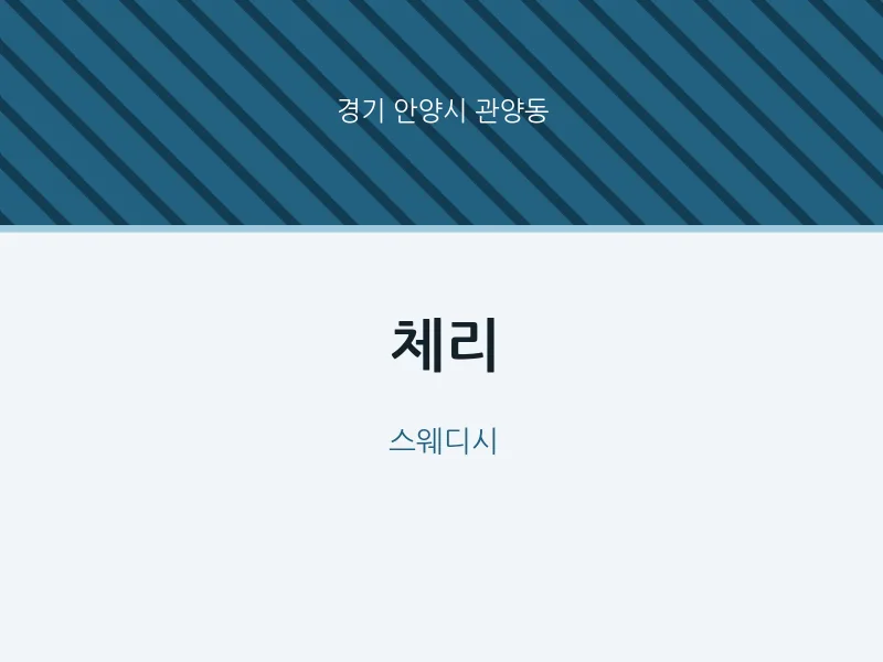 관양동 출장마사지 홈타이 체리 | 마픽