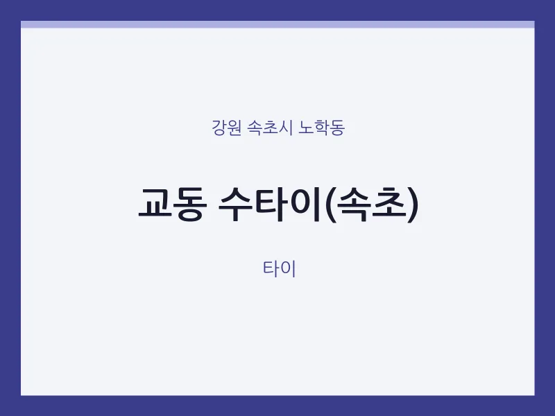 노학동 출장마사지 홈타이 수타이(속초) | 마픽