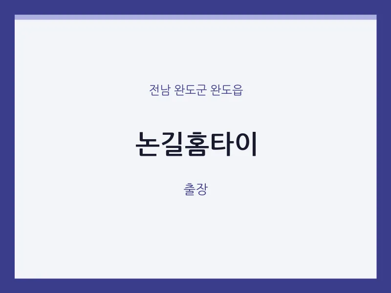 완도읍 출장마사지 논길홈타이 | 마픽