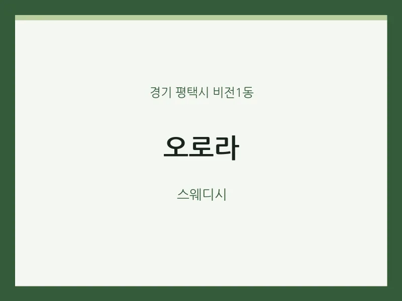 비전1동 출장마사지 홈타이 오로라 | 마픽