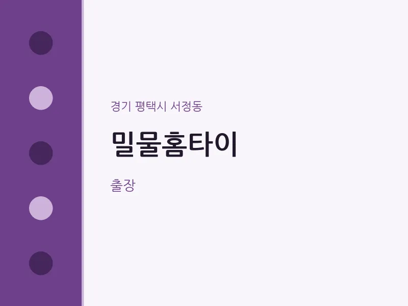 서정동 출장마사지 밀물홈타이 | 마픽
