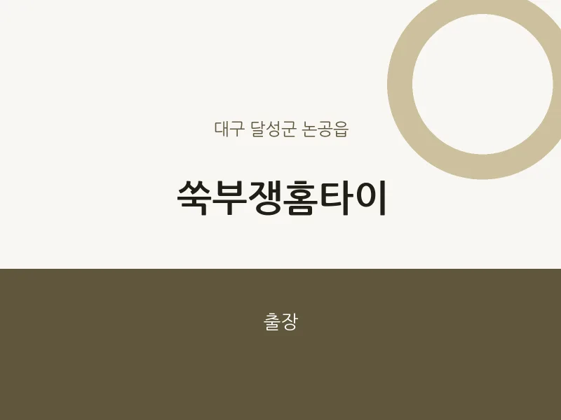 논공읍 출장마사지 쑥부쟁홈타이 | 마픽