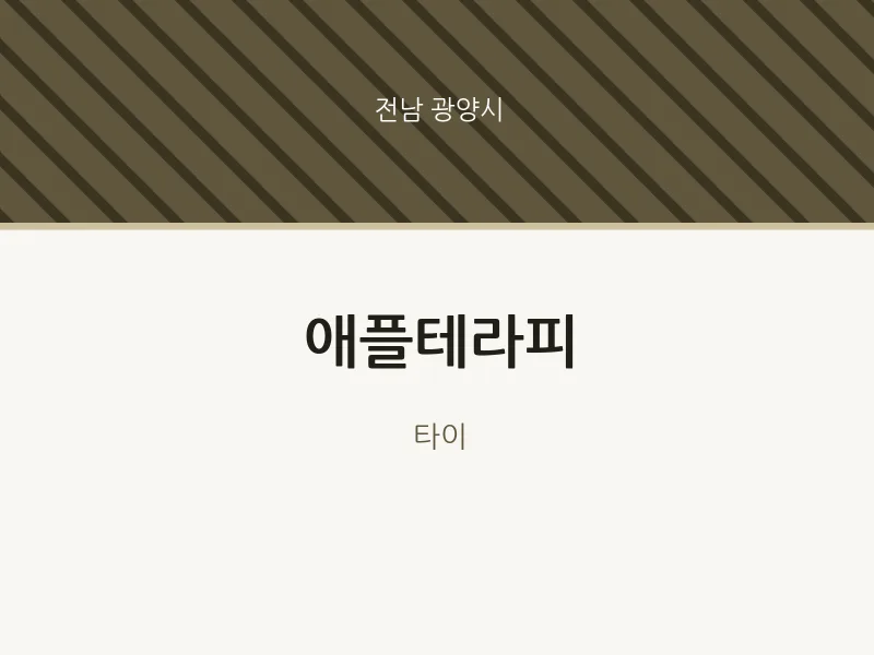 광양시 출장마사지 홈타이 애플테라피 | 마픽