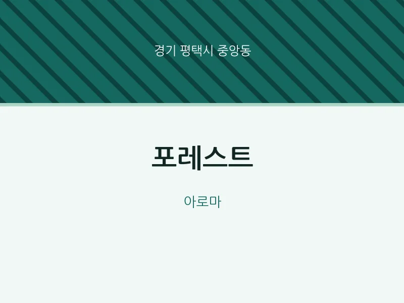 중앙동 출장마사지 홈타이 포레스트 | 마픽