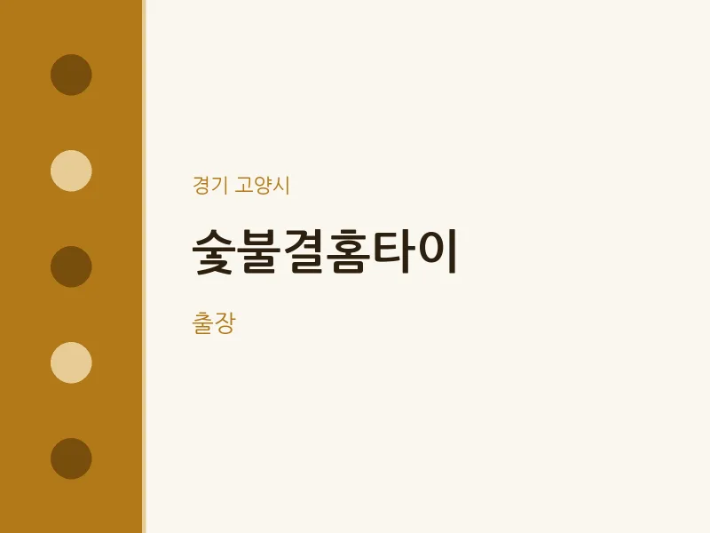 고양시 출장마사지 숯불결홈타이 | 마픽