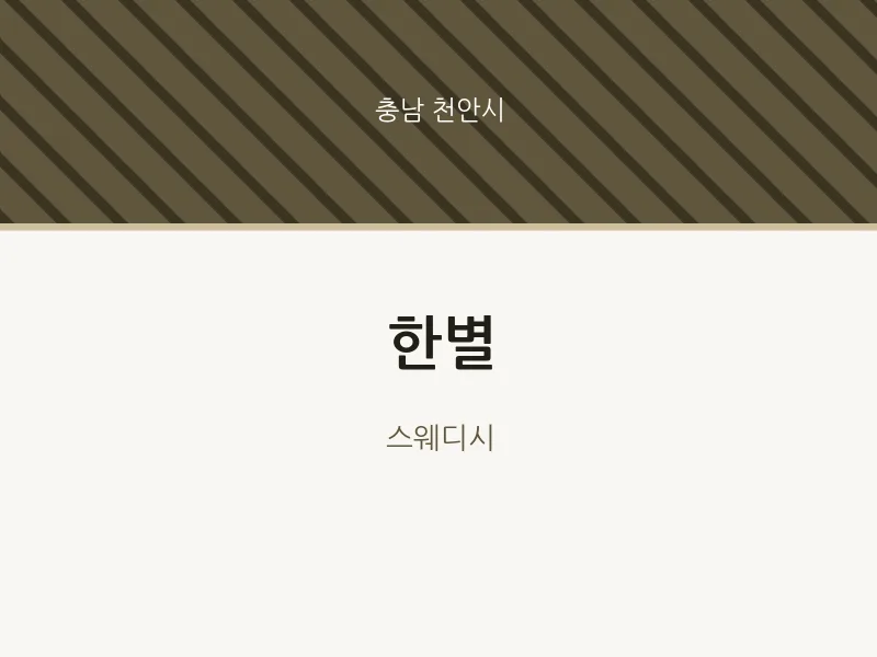 천안시 출장마사지 홈타이 한별 | 마픽
