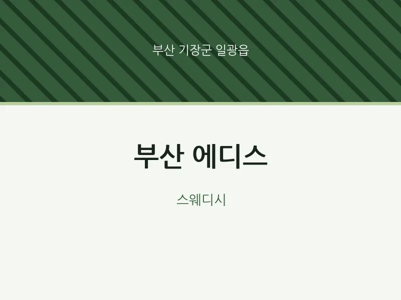 일광읍 출장마사지 홈타이 부산 에디스 | 마픽