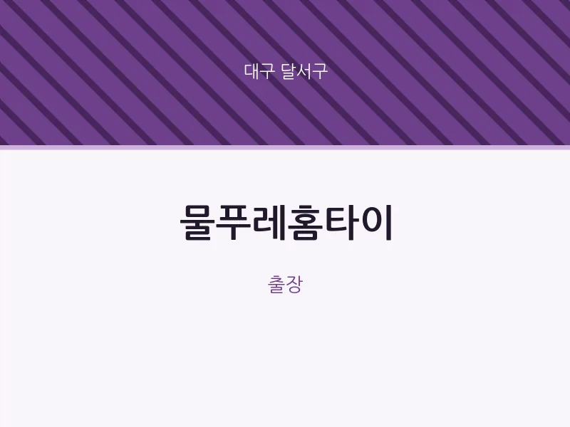 달서구 출장마사지 물푸레홈타이 | 마픽