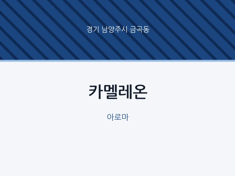 금곡동 출장마사지 홈타이 카멜레온 | 마픽