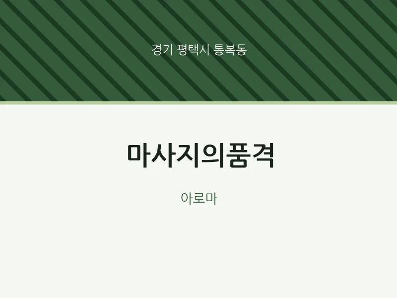 통복동 출장마사지 홈타이 마사지의품격 | 마픽