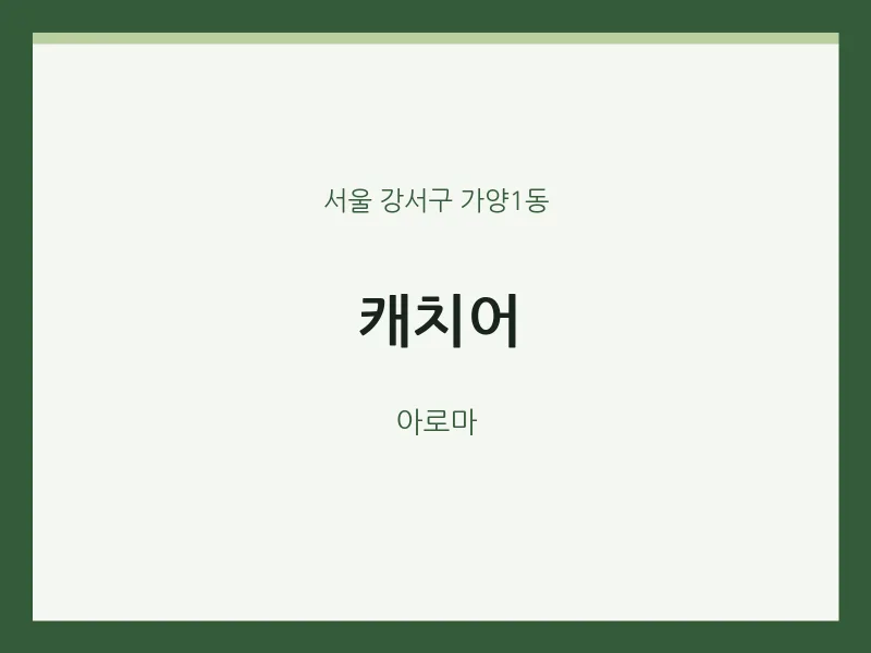 가양1동 출장마사지 홈타이 캐치어 | 마픽