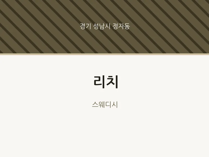 정자동 출장마사지 홈타이 리치 | 마픽