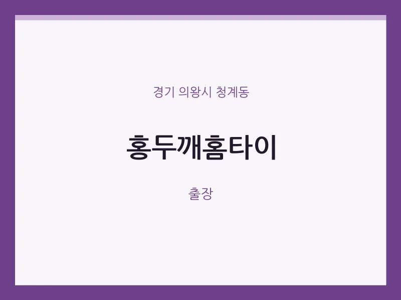 청계동 출장마사지 홍두깨홈타이 | 마픽