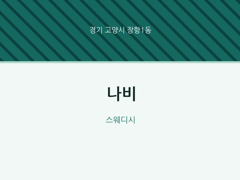 장항1동 출장마사지 홈타이 나비 | 마픽