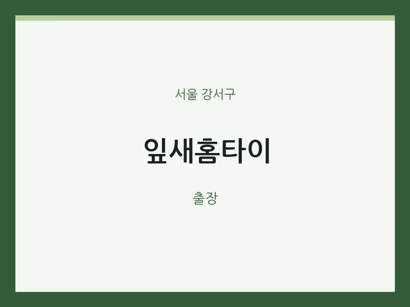 강서구 출장마사지 잎새홈타이 | 마픽