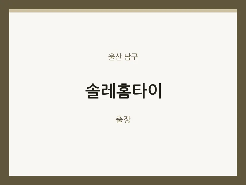 남구 출장마사지 솔레홈타이 | 마픽