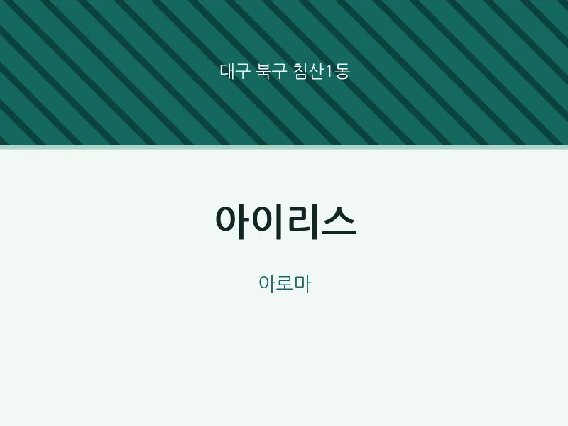 침산1동 출장마사지 홈타이 아이리스 | 마픽
