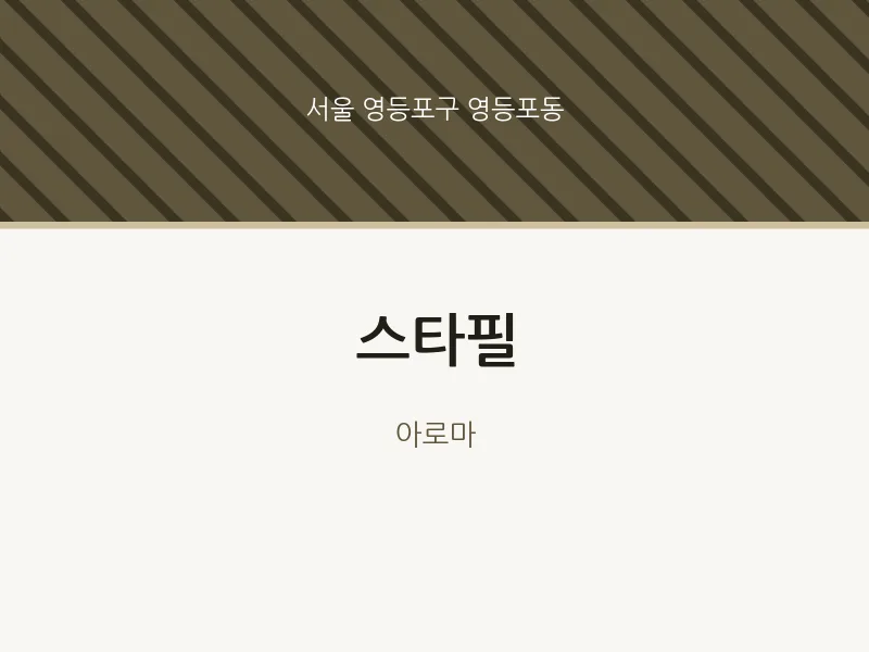 영등포동 출장마사지 홈타이 스타필 | 마픽