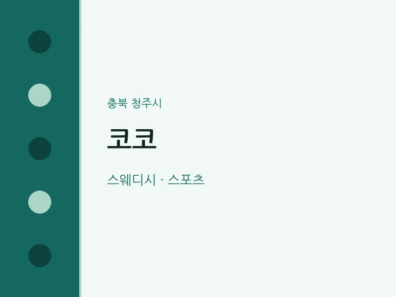청주시 출장마사지 홈타이 코코 | 마픽