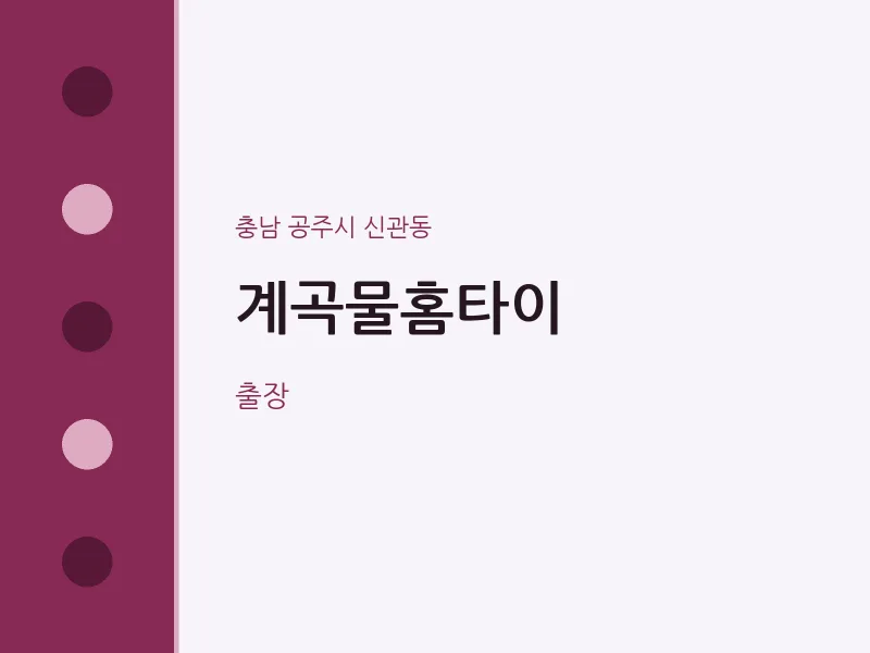 신관동 출장마사지 계곡물홈타이 | 마픽