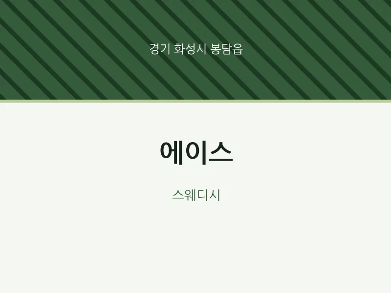 봉담읍 출장마사지 홈타이 에이스 | 마픽