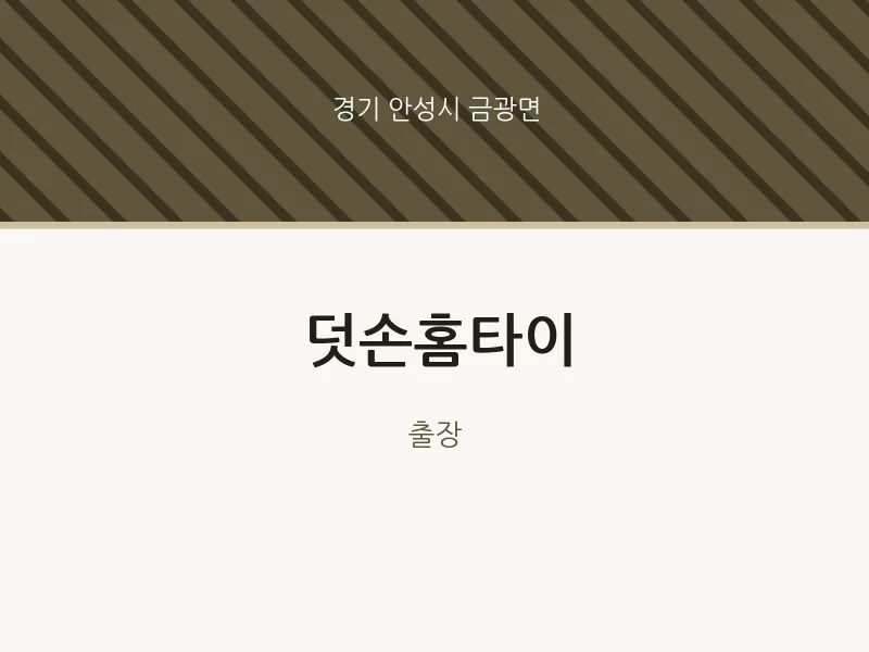 금광면 출장마사지 덧손홈타이 | 마픽