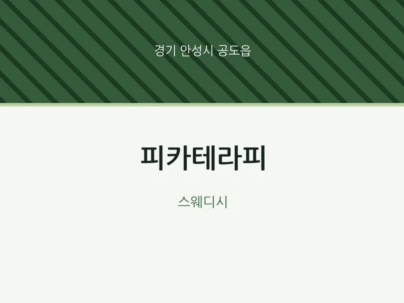 공도읍 출장마사지 홈타이 피카테라피 | 마픽