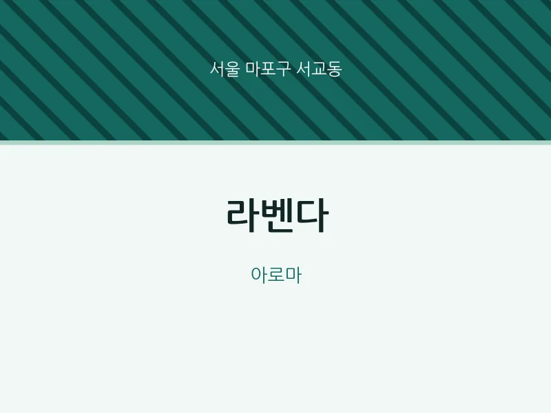 서교동 출장마사지 홈타이 라벤다 | 마픽