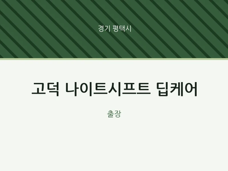 평택시 출장마사지 홈타이 고덕 나이트시프트 딥케어 | 마픽