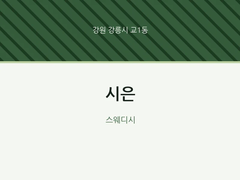 교1동 출장마사지 홈타이 시은 | 마픽