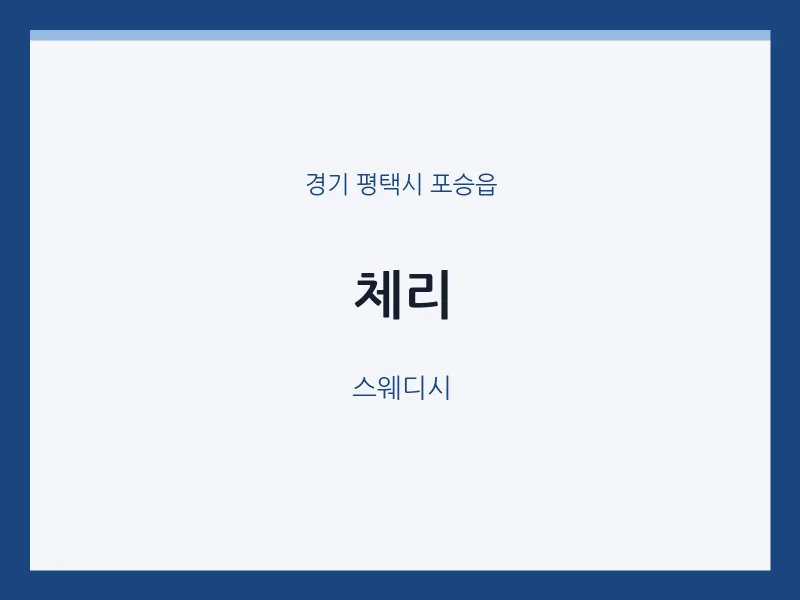포승읍 출장마사지 홈타이 체리 | 마픽
