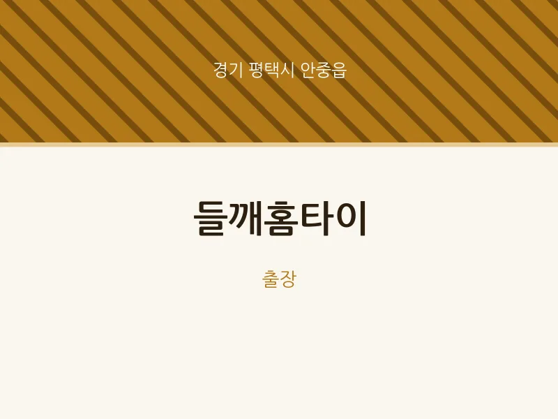 안중읍 출장마사지 들깨홈타이 | 마픽