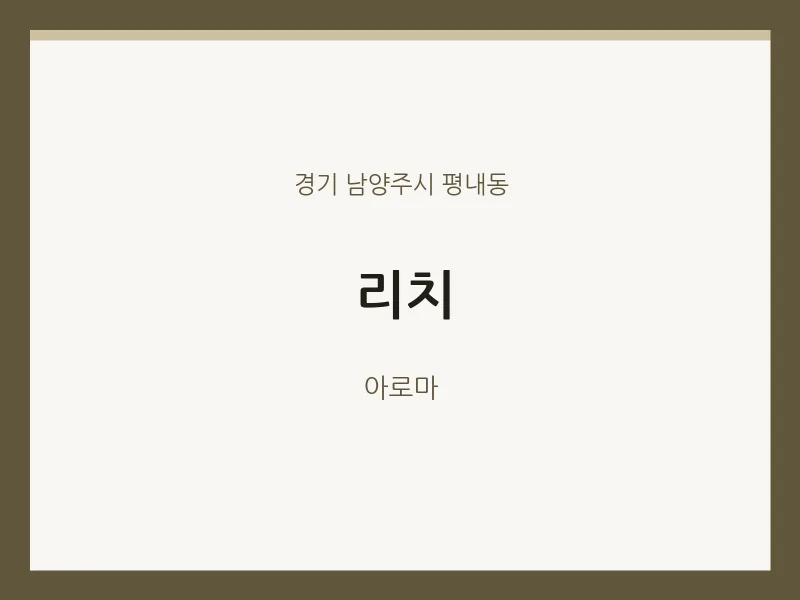 평내동 출장마사지 홈타이 리치 | 마픽