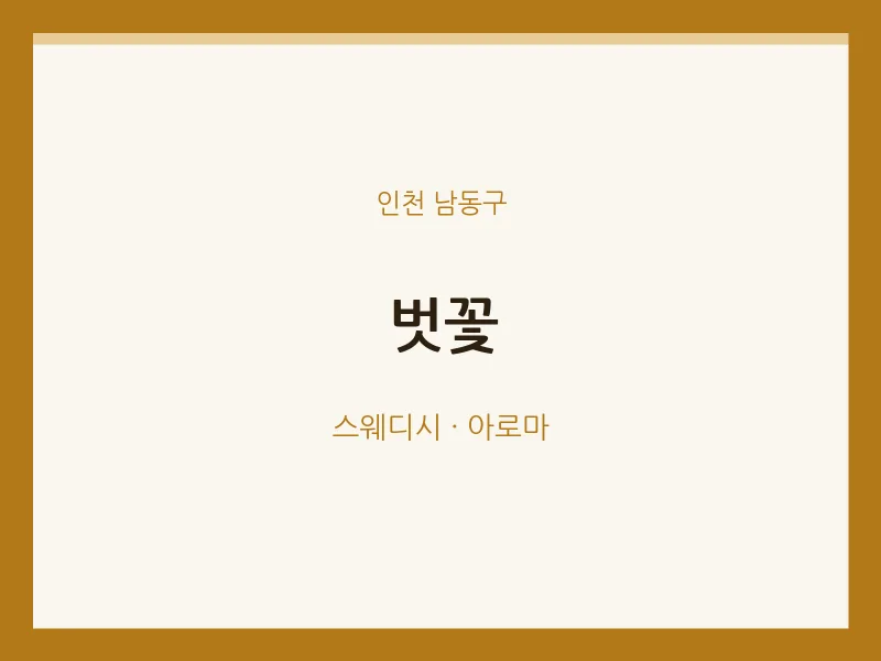 남동구 출장마사지 홈타이 벗꽃 | 마픽