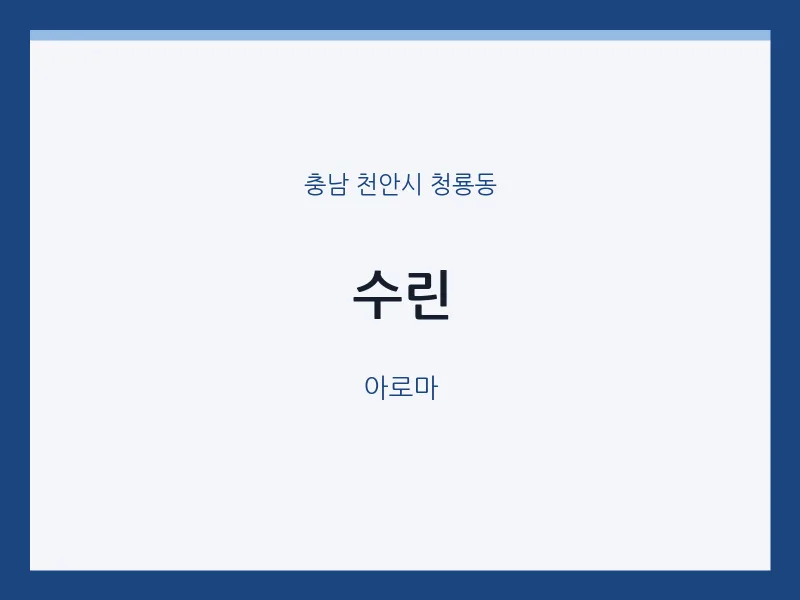 청룡동 출장마사지 홈타이 수린 | 마픽