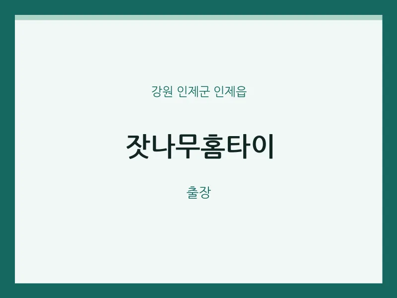 인제읍 출장마사지 잣나무홈타이 | 마픽