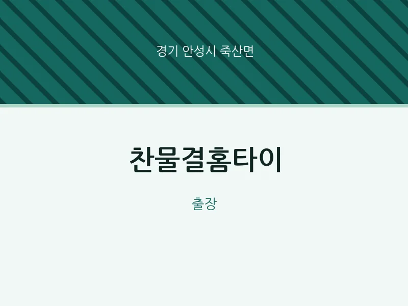 죽산면 출장마사지 찬물결홈타이 | 마픽
