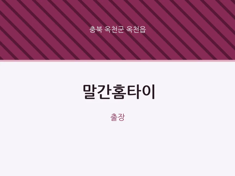 옥천읍 출장마사지 말간홈타이 | 마픽