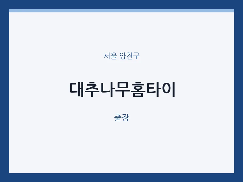 양천구 출장마사지 대추나무홈타이 | 마픽
