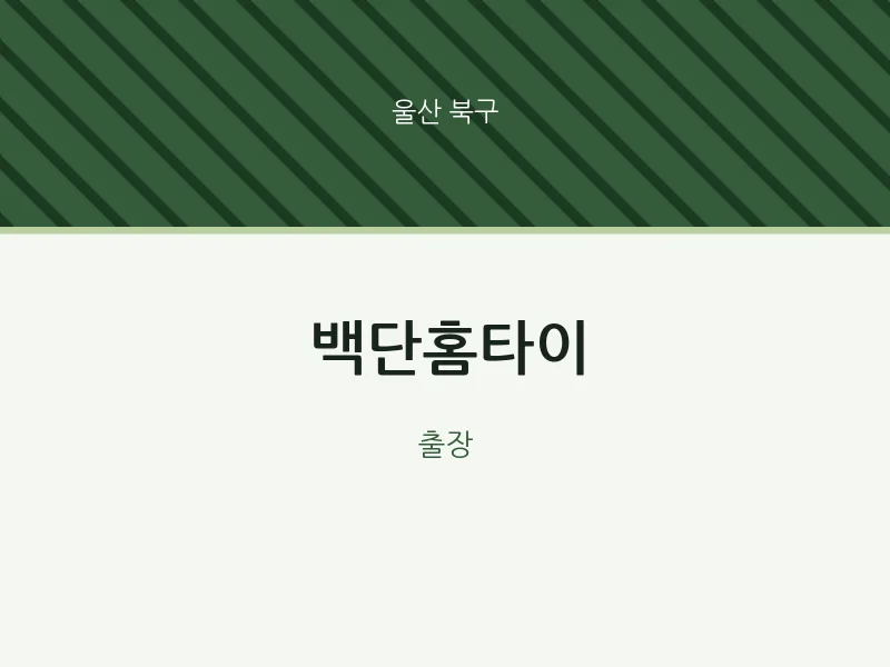 북구 출장마사지 백단홈타이 | 마픽