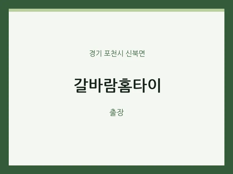 신북면 출장마사지 갈바람홈타이 | 마픽