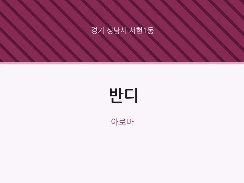 서현1동 출장마사지 홈타이 반디 | 마픽