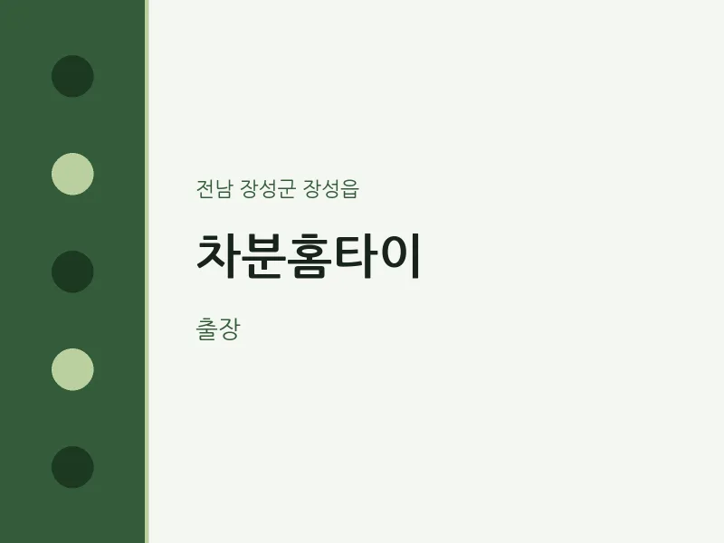 장성읍 출장마사지 차분홈타이 | 마픽