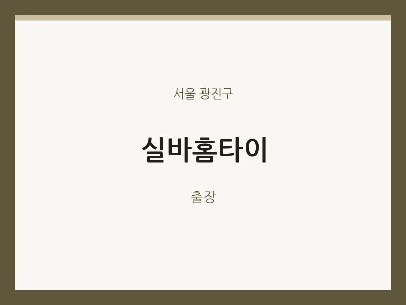 광진구 출장마사지 실바홈타이 | 마픽