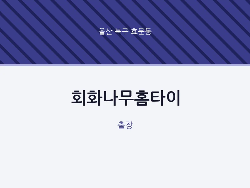 효문동 출장마사지 회화나무홈타이 | 마픽