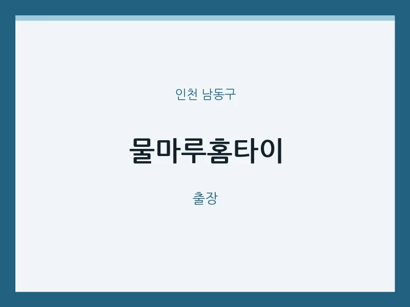 남동구 출장마사지 물마루홈타이 | 마픽