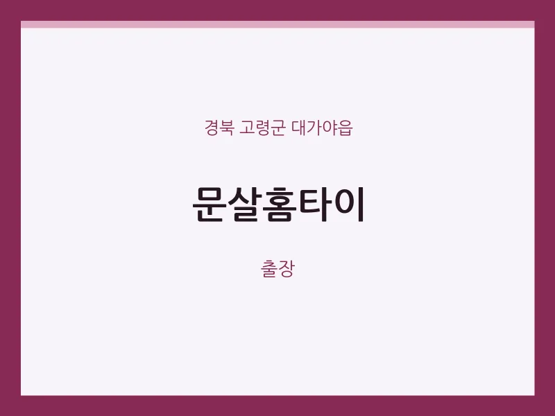 대가야읍 출장마사지 문살홈타이 | 마픽