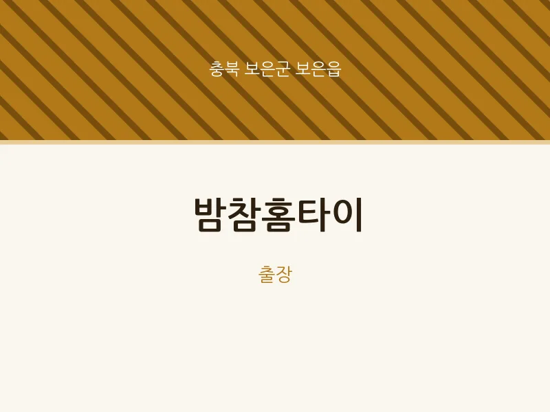 보은읍 출장마사지 밤참홈타이 | 마픽