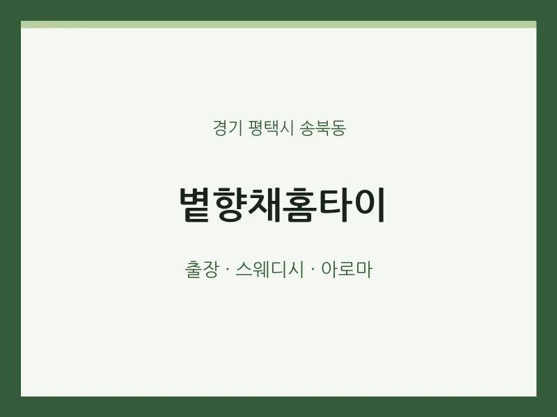 송북동 출장마사지 볕향채홈타이 | 마픽