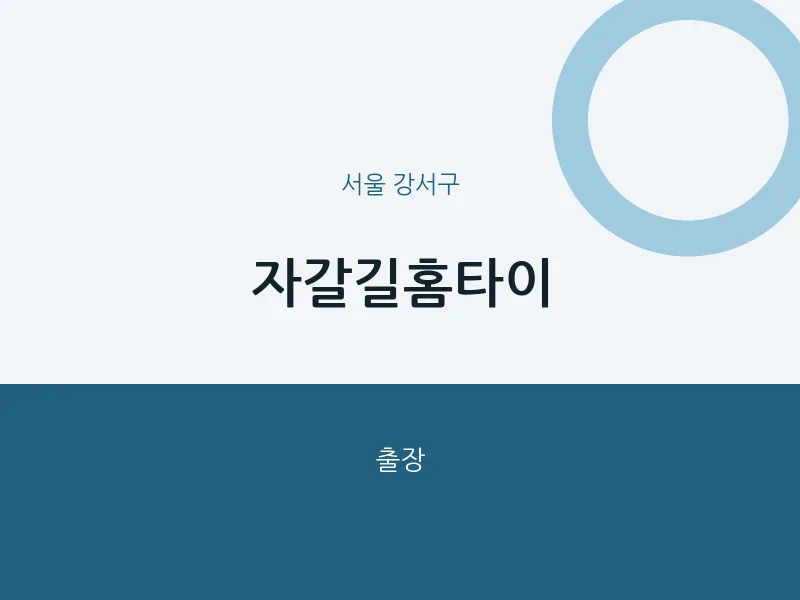 강서구 출장마사지 자갈길홈타이 | 마픽